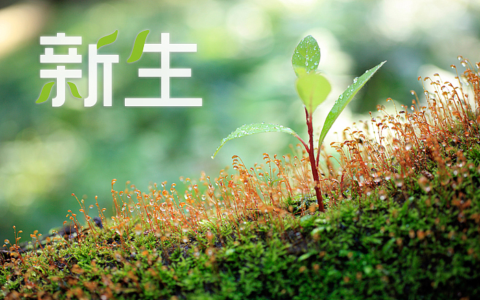 个人字体设计练习（图ZNzkxNTIzMg==） - 字体/字形 - 站酷设计师Kids小志原创素材 - 站酷ZCOOL