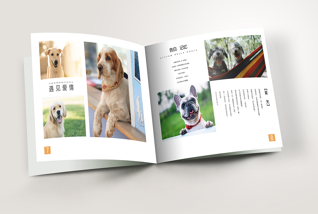 狗狗画册