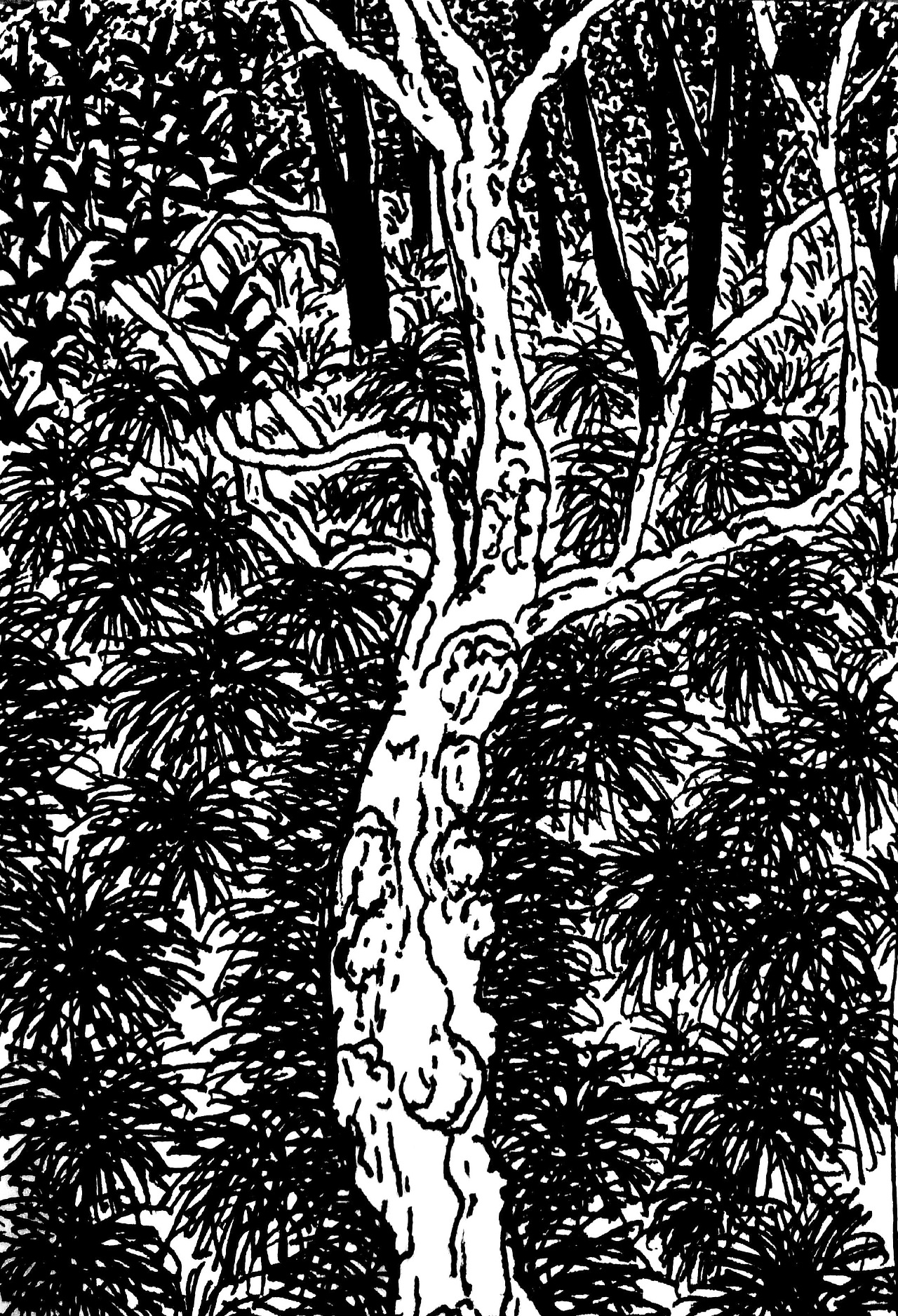 2021插画年度总结(一)