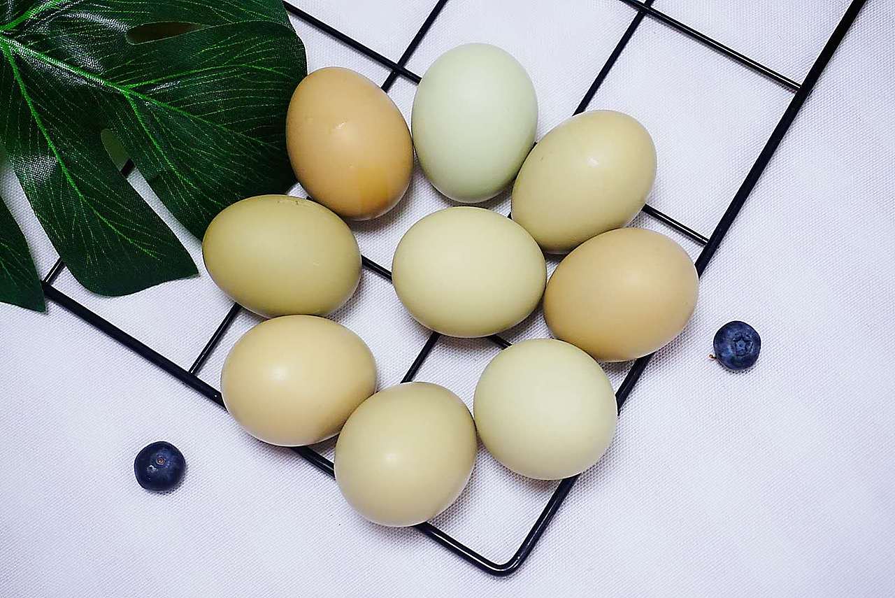 美食摄影（图ZMjA4MzA0MzA4） - 产品摄影 - 站酷设计师哪瓣洋葱原创素材 - 站酷ZCOOL