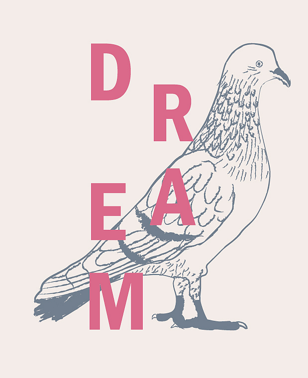 这是我的梦之动物