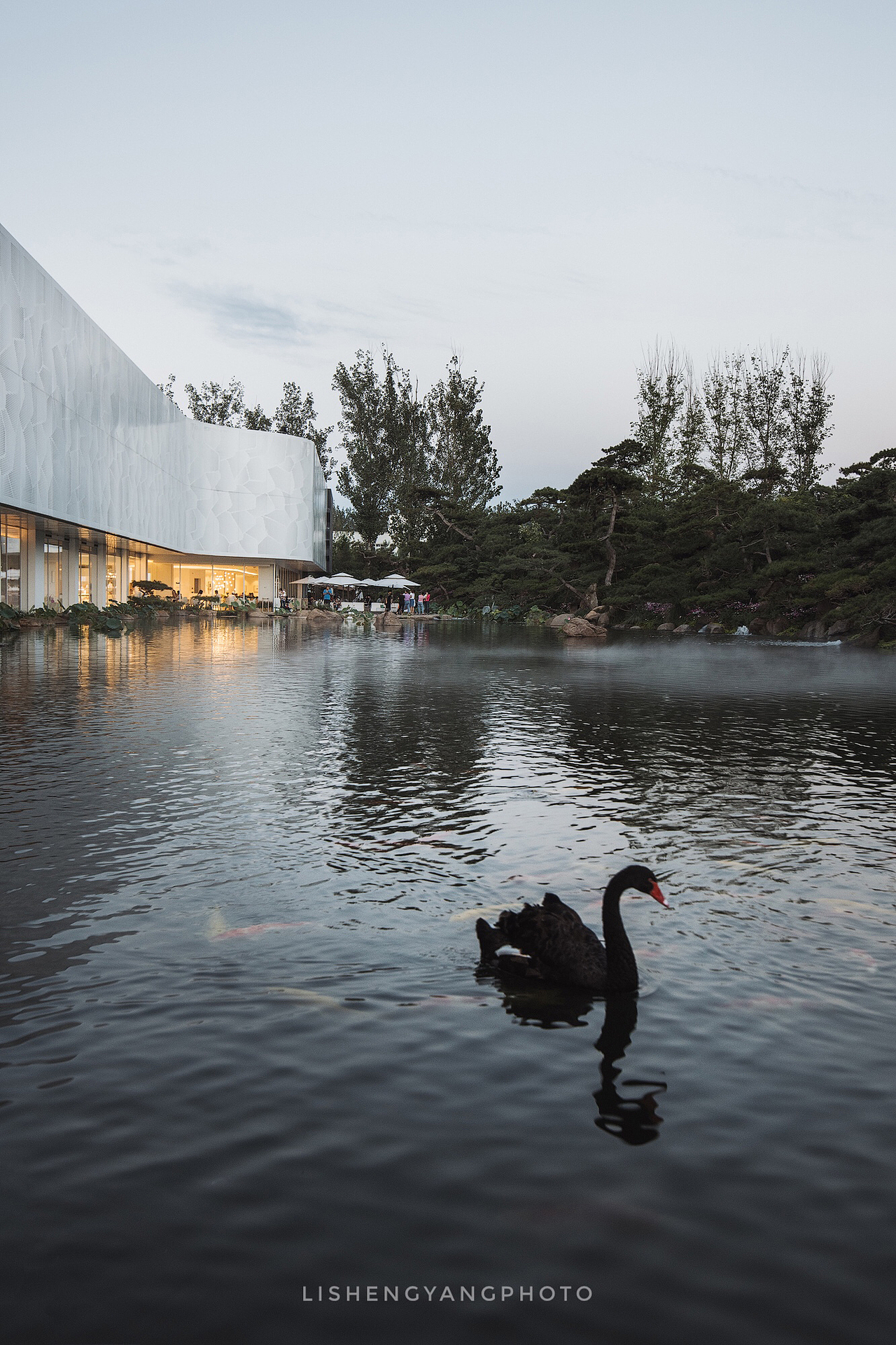 建筑空间摄影—罗红摄影艺术馆