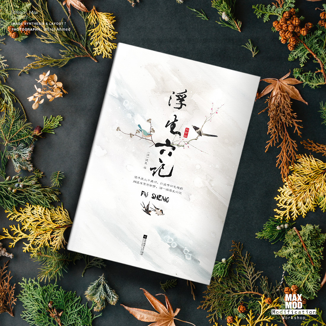 100张氛围图练习计划 - 6