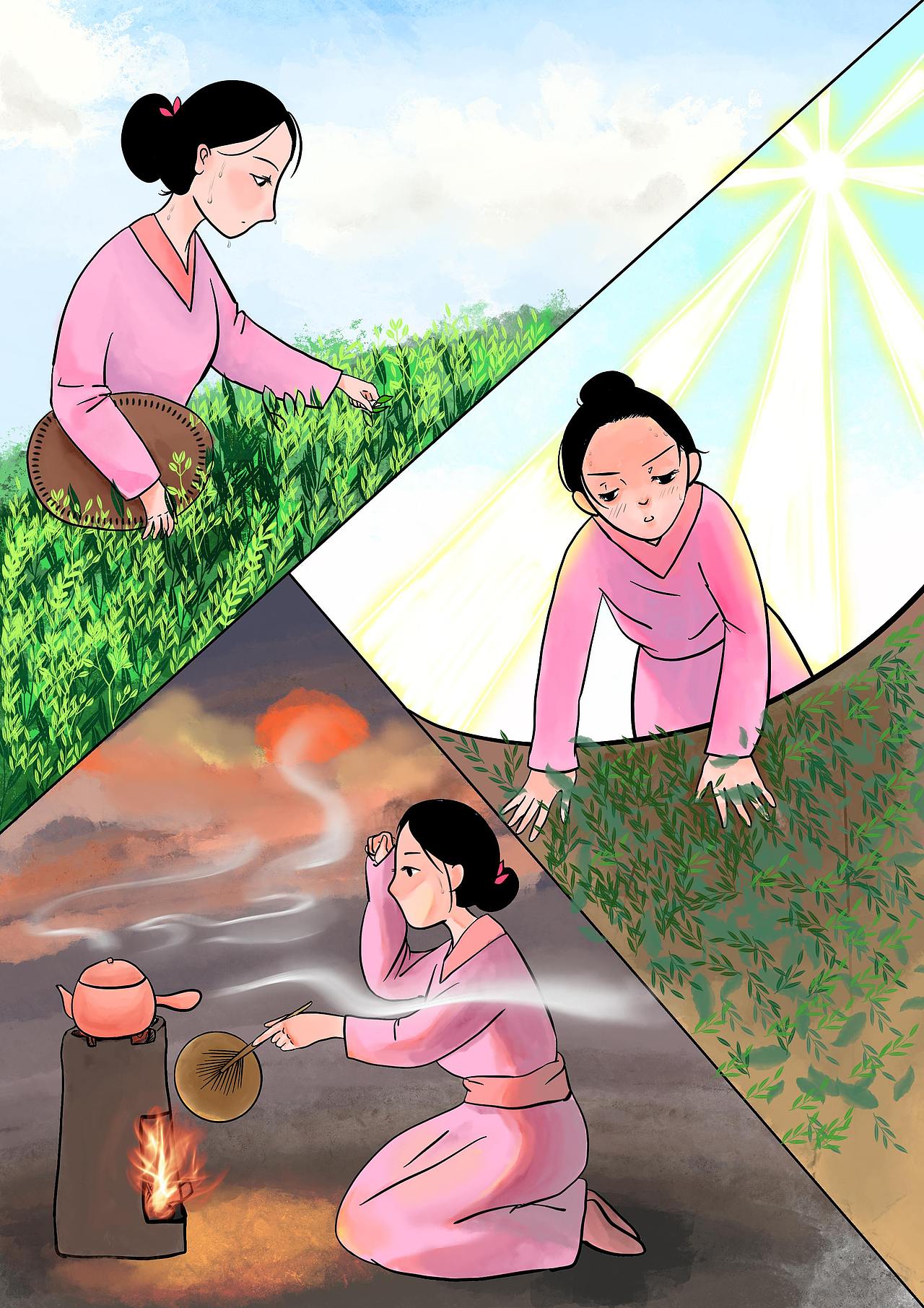 福鼎白茶系列插画