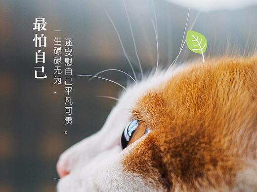 日签