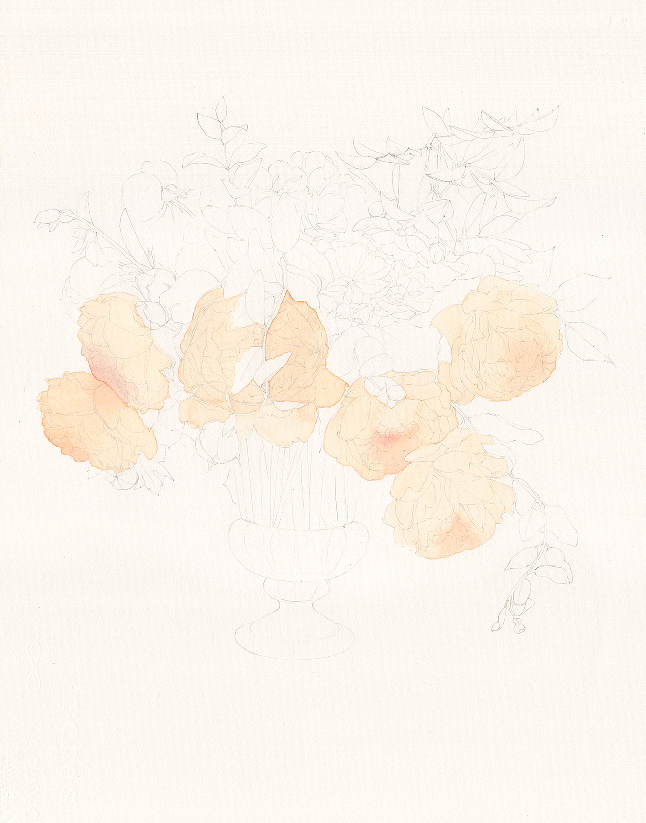 水彩花卉《达西先生》步骤图（图ZMTIzOTI2NDg4） - 绘画 - 站酷设计师苏木_Summer原创素材 - 站酷ZCOOL
