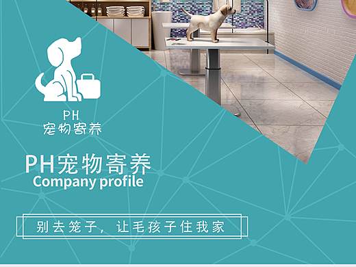 宠物店三折页