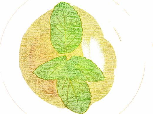 一場午后的閑暇（個人主頁-ZNDY3NDc5MTY=） - 產(chǎn)品攝影 - 站酷設計師啾啾呦呦原創(chuàng)素材 - 站酷ZCOOL