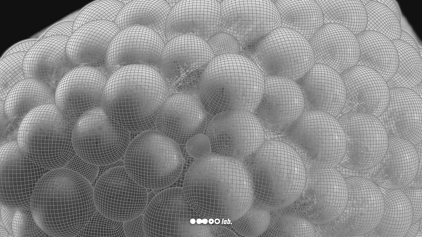 脂肪細(xì)胞（章魚(yú)小丸子）（圖ZMzE1NDc5MzA4） - 人物/生物 - 站酷設(shè)計(jì)師o(wú)moolab原創(chuàng)素材 - 站酷ZCOOL
