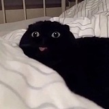 小光不是瓜的头像