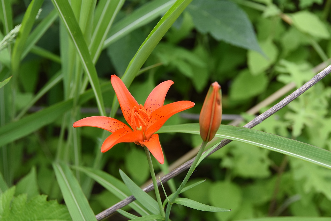 雾灵山 风光 山水（图ZNzQ0ODk5Njg=） - 风光摄影 - 站酷设计师zslll原创素材 - 站酷ZCOOL