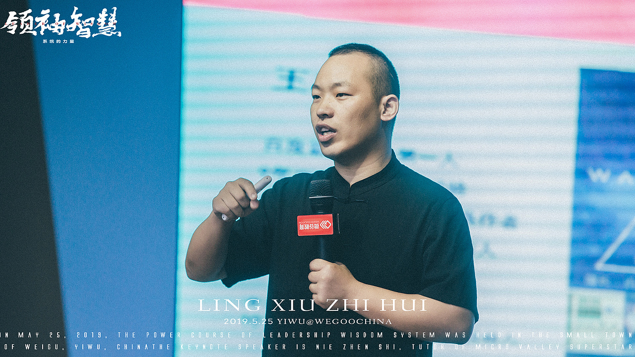 领袖智慧系统的力量