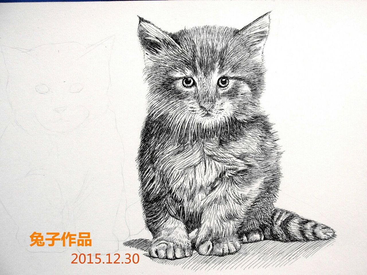 铅笔画——动物篇|纯艺术|素描|卓玥 - 原创作品 - 站酷 (ZCOOL)