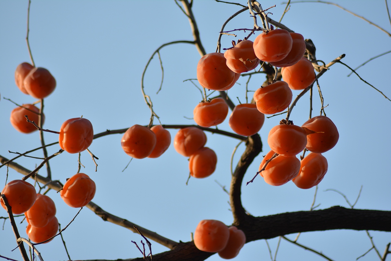 好美！震撼到我的不只是色彩～（图ZNjQ2MTk2NDA=） - 环境/建筑摄影 - 站酷设计师我的瞬间艺术原创素材 - 站酷ZCOOL