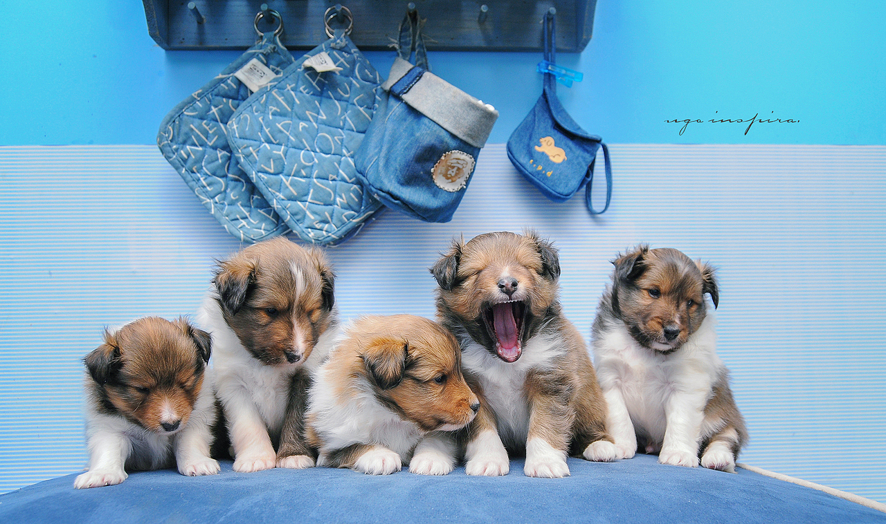 我猜我们见过面.恩?【动物摄影师何某某个人作品2】