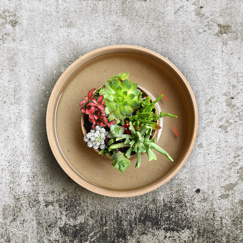 初瓷原创 纯手工多肉植物陶瓷花盆 花盆鱼缸一体 创意家居（图ZMzQ1MTA5NjA=） - 其他手工艺 - 站酷设计师夏葳苒原创素材 - 站酷ZCOOL