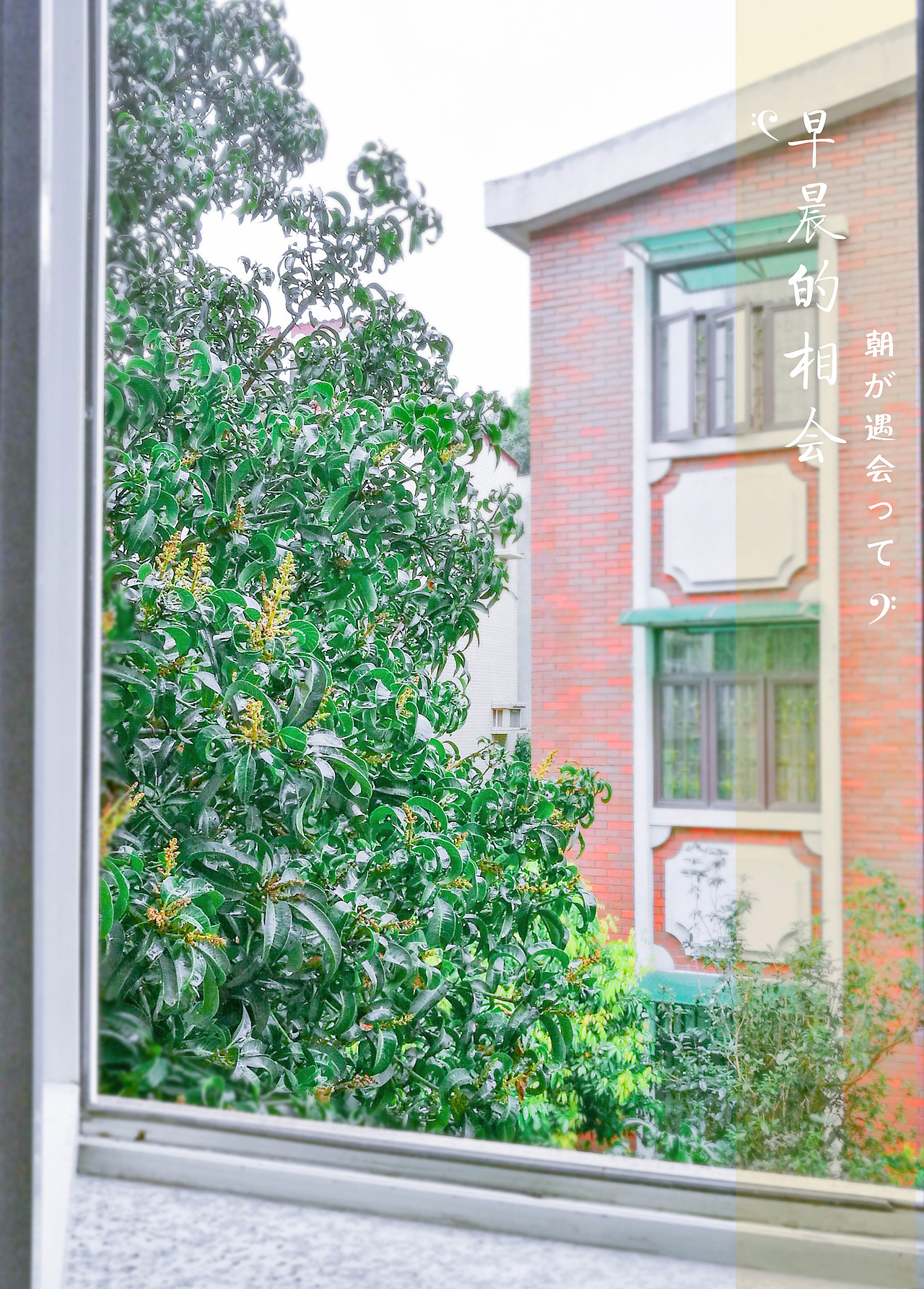 随手拍（图ZOTE4NzQ4OTI=） - 环境/建筑摄影 - 站酷设计师添彩的燕子不会画原创素材 - 站酷ZCOOL