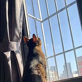 豆子狸的头像