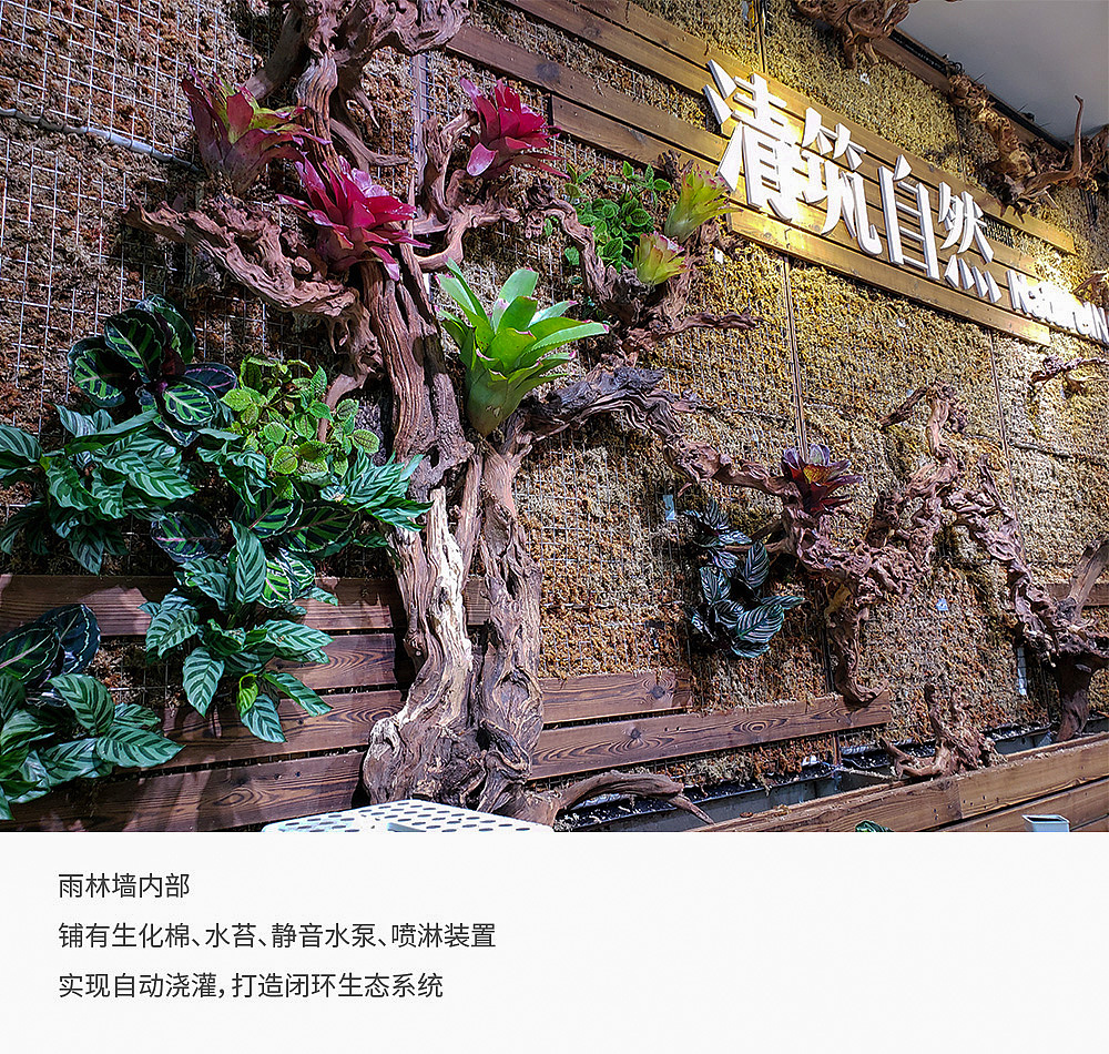 清筑自然 | 巨幅雨林墙（图ZMTgwNzE2MjAw） - 景观设计 - 站酷设计师YAN_莹儿原创素材 - 站酷ZCOOL