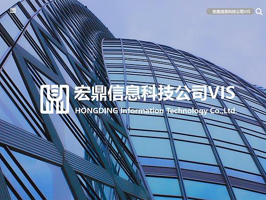 宏鼎信息科技公司VIS