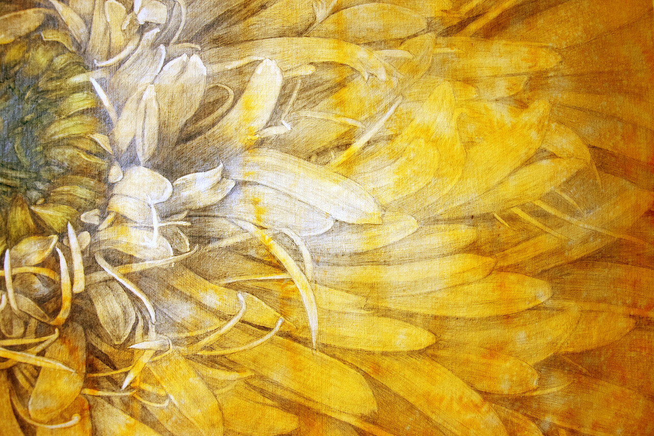 手绘《生命之花》