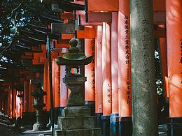 新一轮的春夏秋冬。