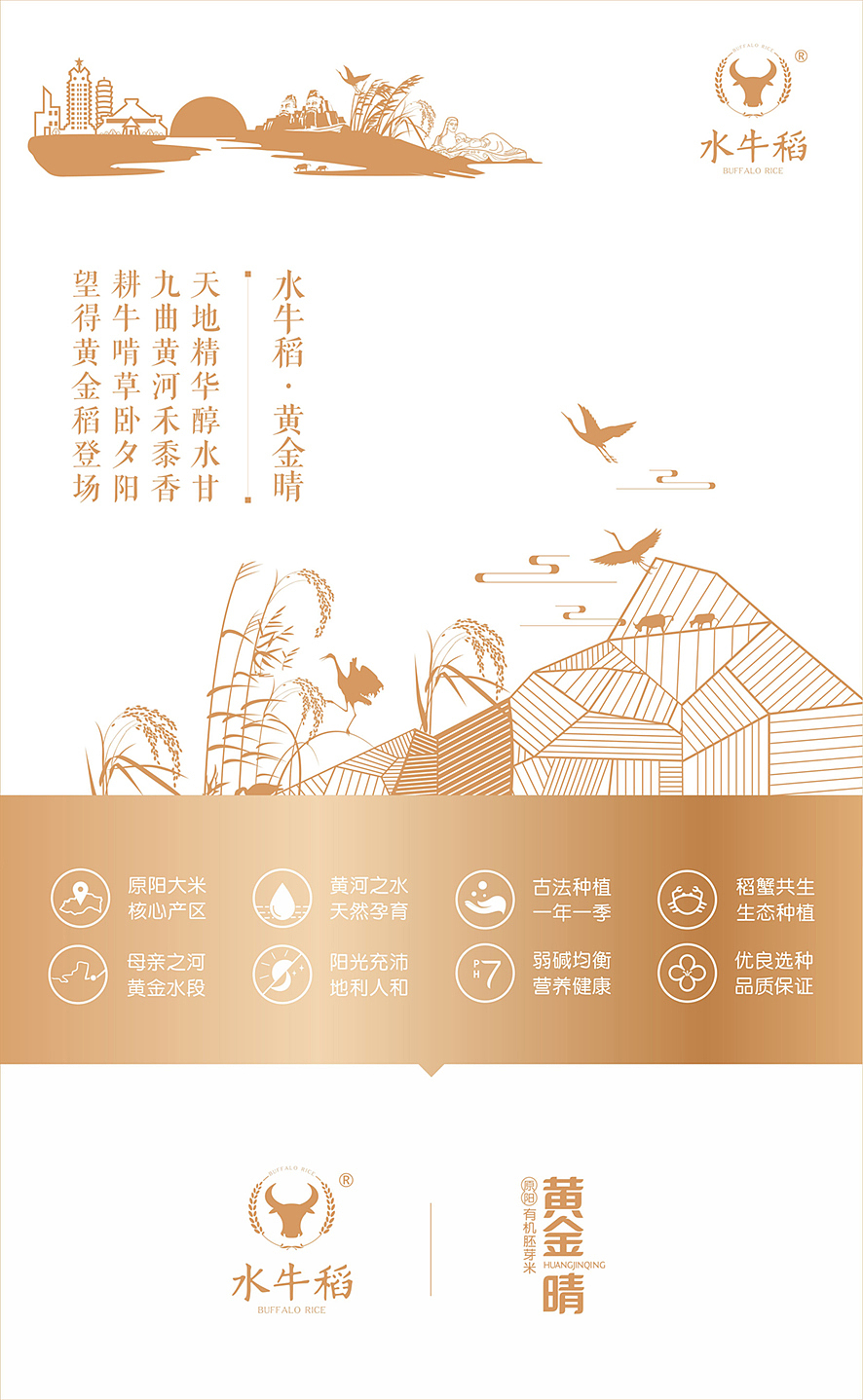 知白品牌设计×水牛稻黄金晴高端礼盒设计(图ZMjI0Mjg2MTU2) - 包装 - 站酷设计师知白品牌设计原创素材 - 站酷ZCOOL