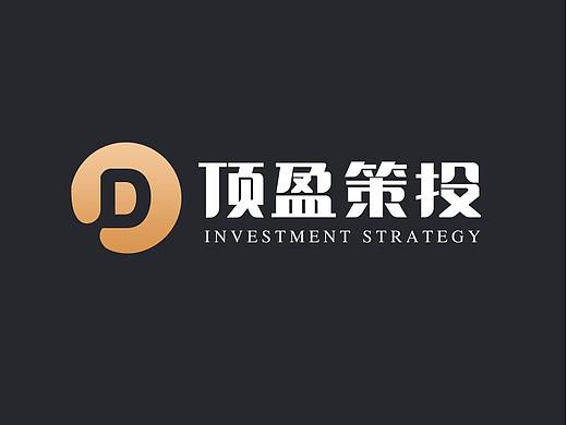 期权投资项目