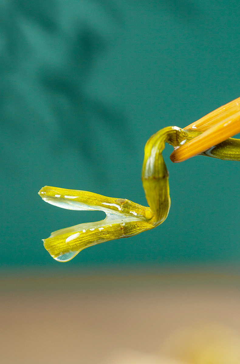 铁皮石斛（图ZMjI1NDMyNTI4） - 产品摄影 - 站酷设计师拯救橙子原创素材 - 站酷ZCOOL