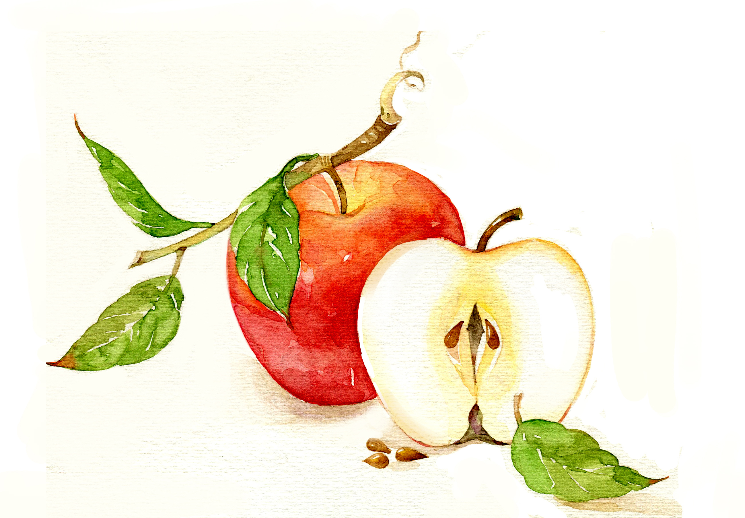 苹果树|纯艺术|绘画|DIDIHUA - 原创作品 - 站酷 (ZCOOL)
