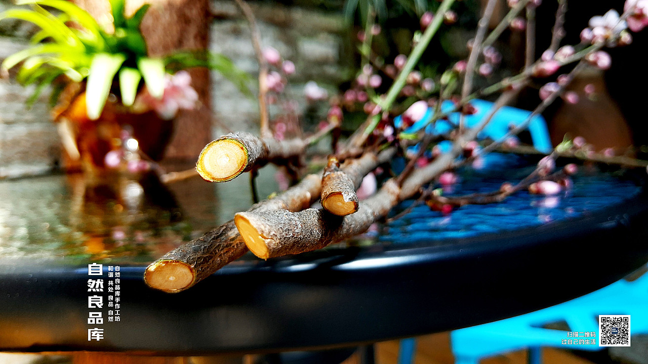 莫放春秋佳日過 最難風雨故人來