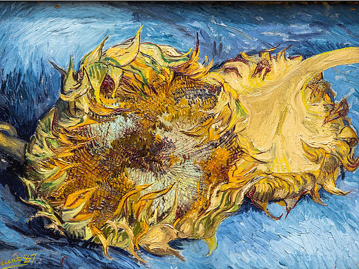 -Van Gogh- [美术馆]
