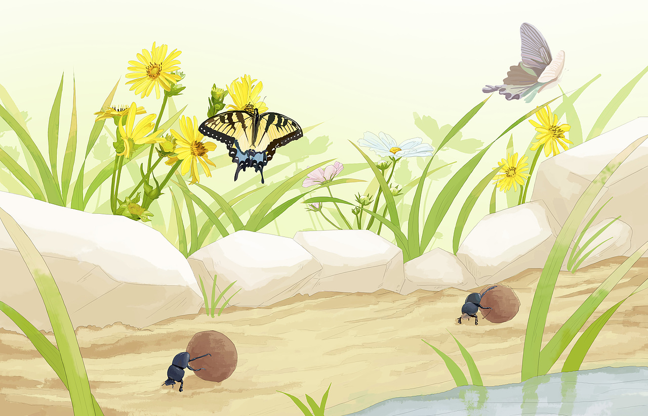 《法布尔昆虫记-阳光下的圣甲虫》|插画|绘本|sylink_原创作品-站酷