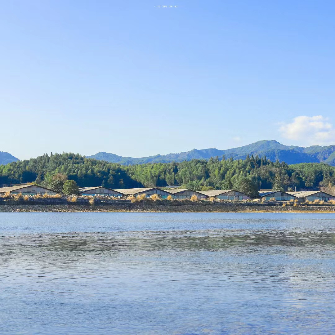 小Z女士的个人主页（背景预览） - 主页背景设置 - 站酷设计师小Z女士原创素材 - 站酷ZCOOL