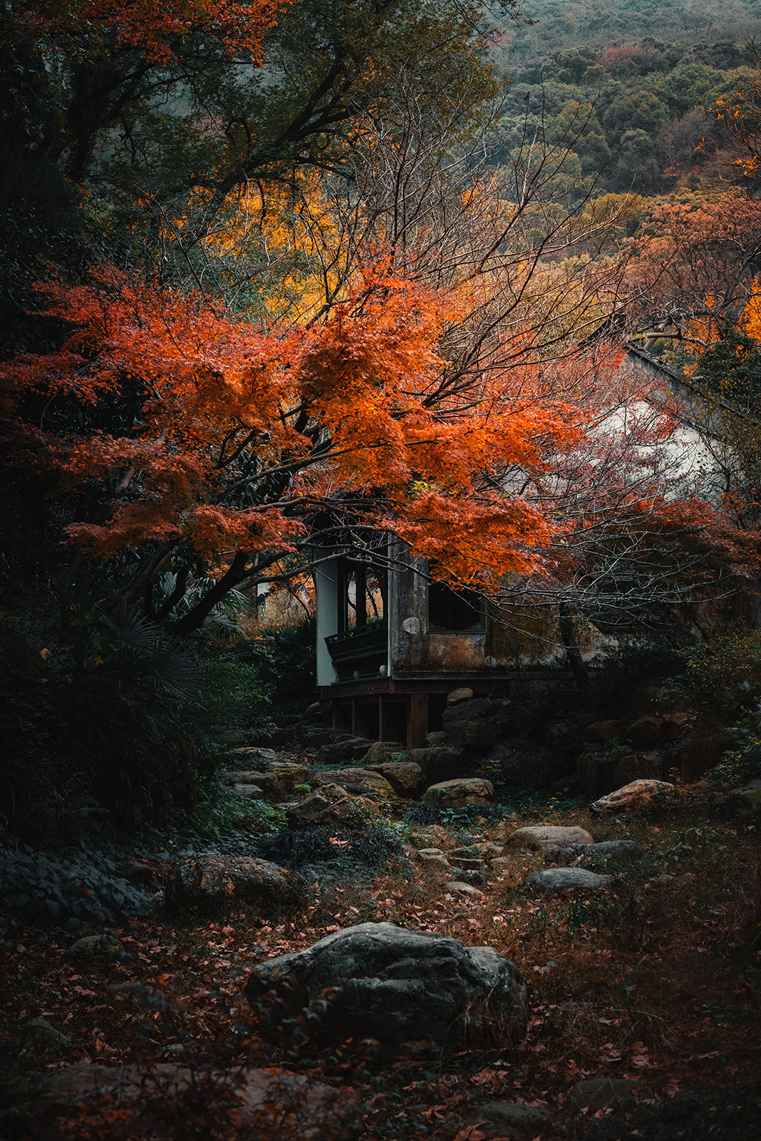 古刹秋枫|摄影|风光摄影|风轻云淡nj - 原创作品 - 站酷 (zcool)