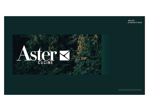 Aster cucine 品牌宣传PPT