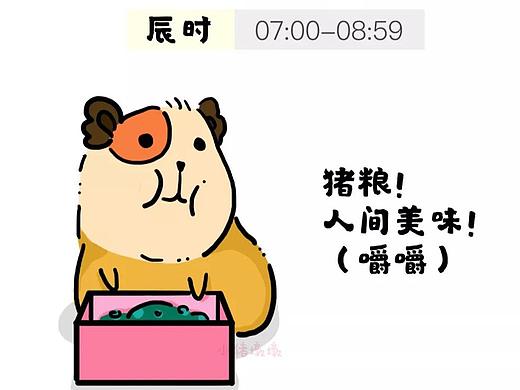条漫| 小猪墩墩——墩墩十二时辰