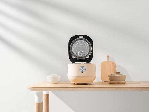 DSM日式电饭煲