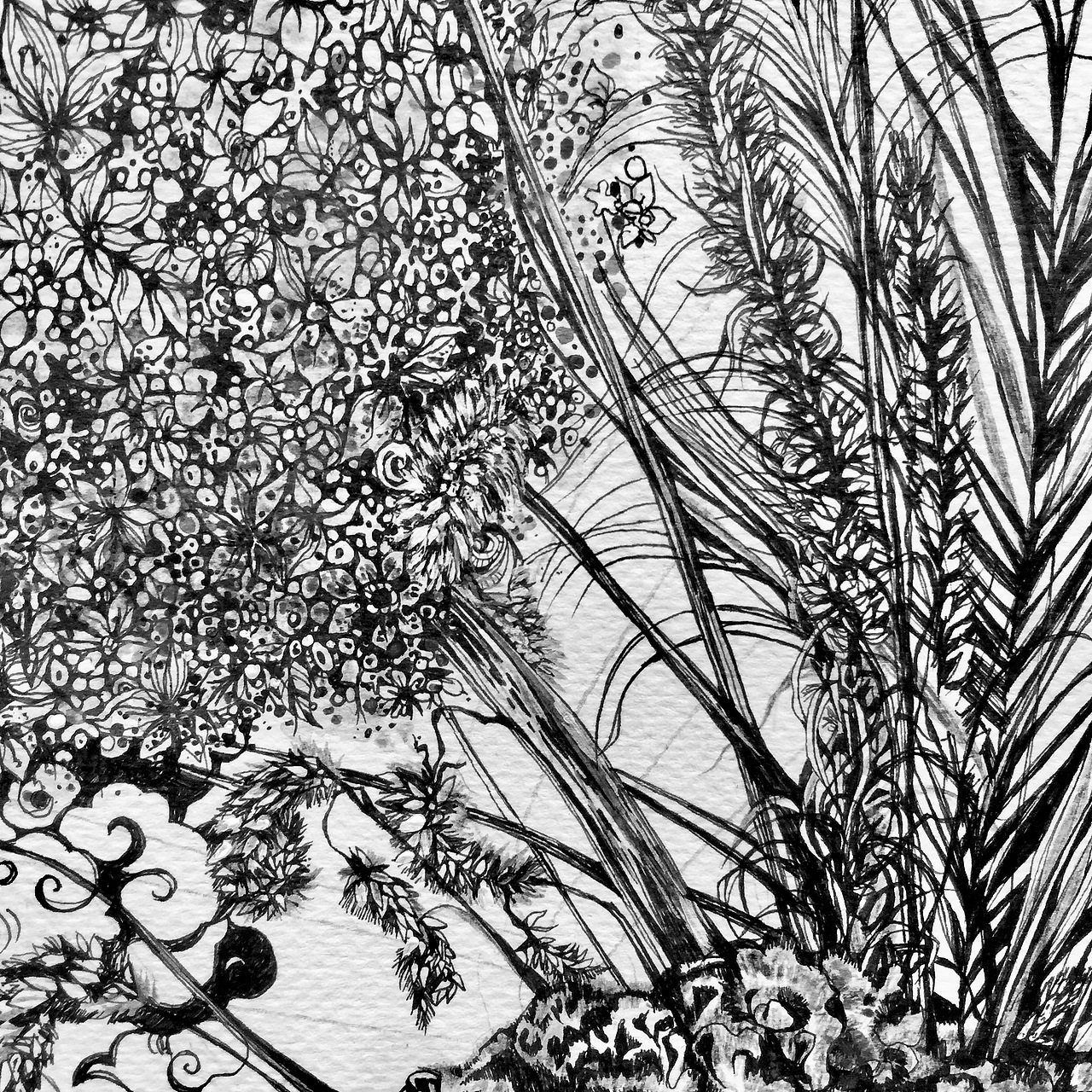 一岁一枯荣（图ZNzUyNDUwMjQ=） - 商业插画 - 站酷设计师chang晶原创素材 - 站酷ZCOOL