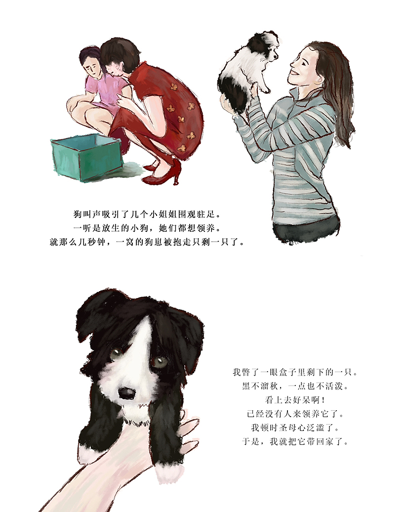 狗这一辈子