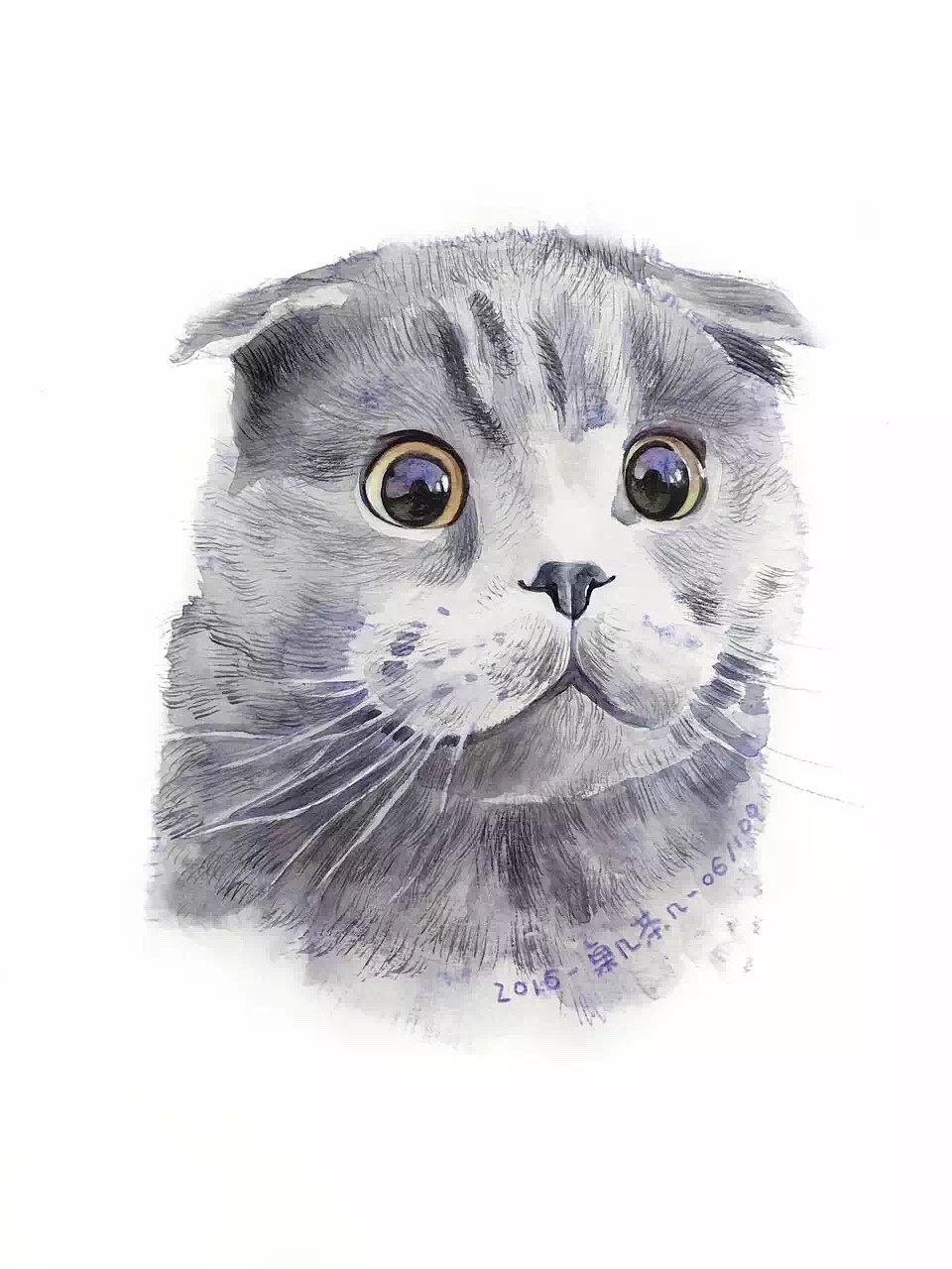 #存图# 没完成的100只猫（图ZMTc0MDM1ODk2） - 创作习作 - 站酷设计师汪野心原创素材 - 站酷ZCOOL