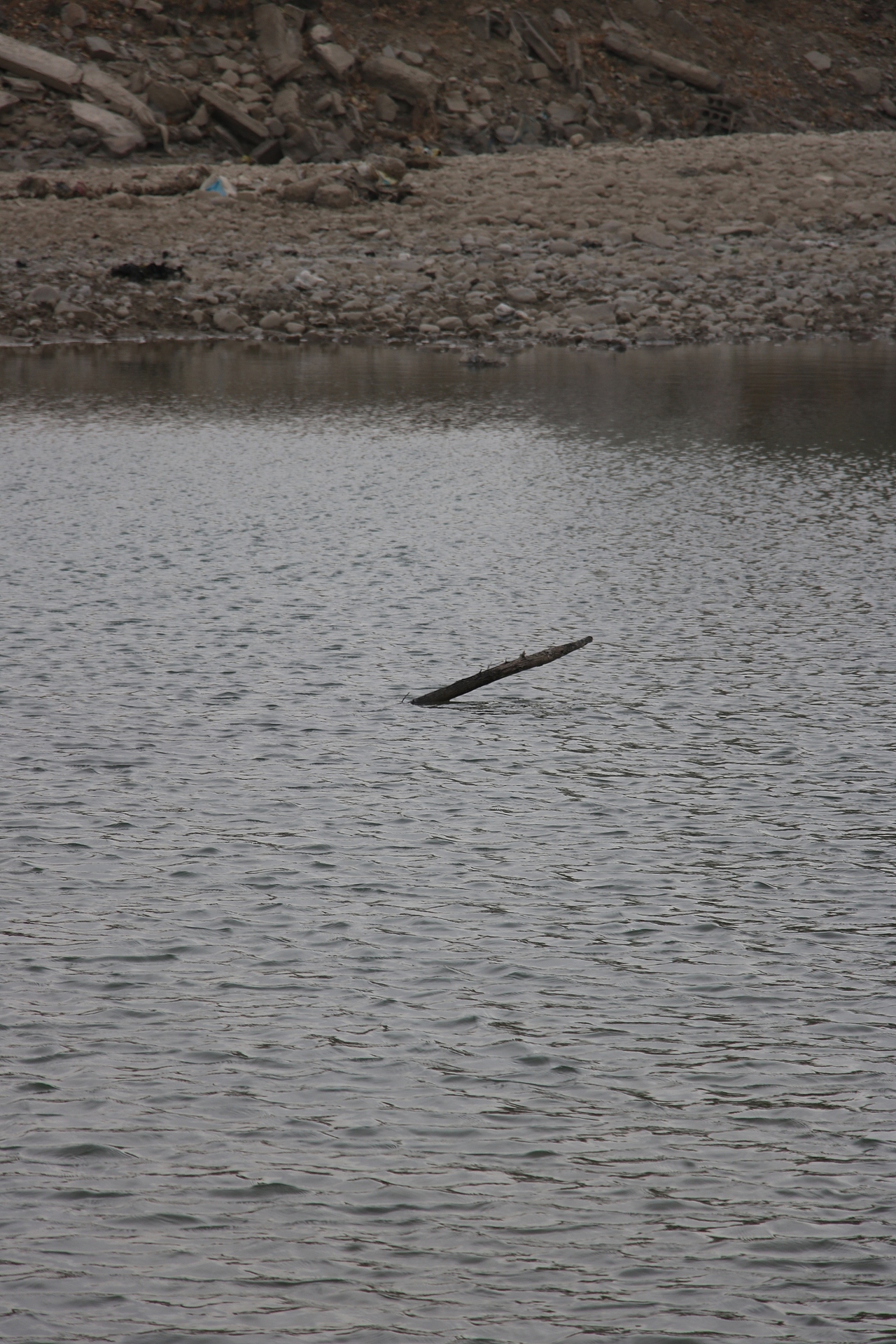 扫街日记（图ZMjk1NzY3NjM2） - 人文/纪实摄影 - 站酷设计师见习忍者原创素材 - 站酷ZCOOL