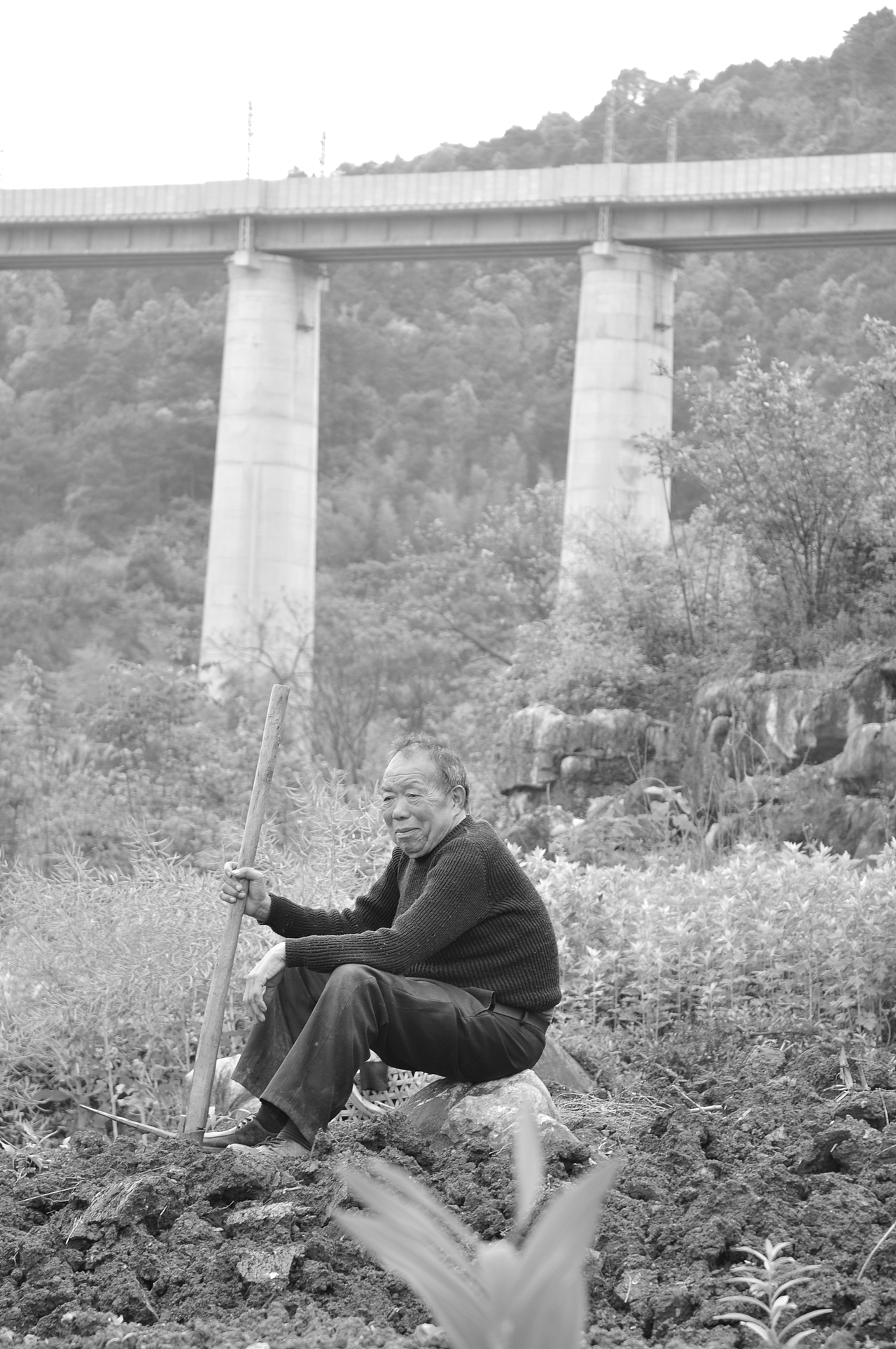 4月南沖風(fēng)采（圖ZMTE2NDYwNDI0） - 人文/紀實攝影 - 站酷設(shè)計師林中蟬原創(chuàng)素材 - 站酷ZCOOL