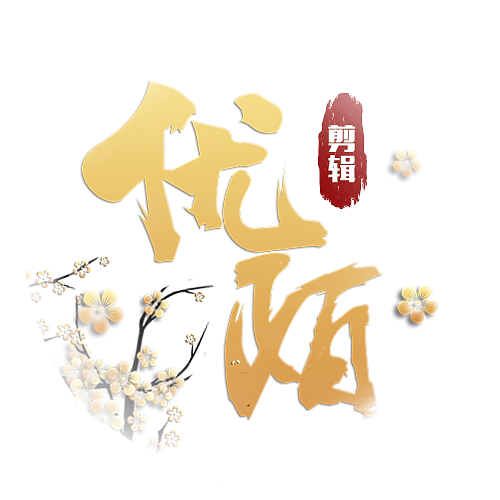 抖音头像+水印（图ZMjIyNjIyNjU2） - 图标 - 站酷设计师王兵兵原创素材 - 站酷ZCOOL