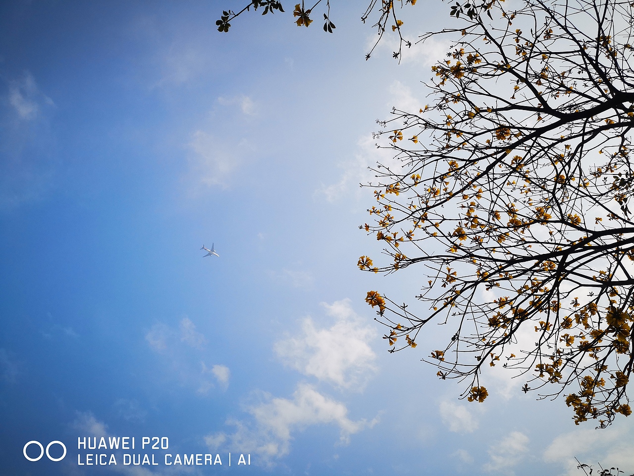 仰望天空（图ZMjY0MDE0NzA0） - 风光摄影 - 站酷设计师多缤设计原创素材 - 站酷ZCOOL