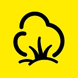森林草丛的头像