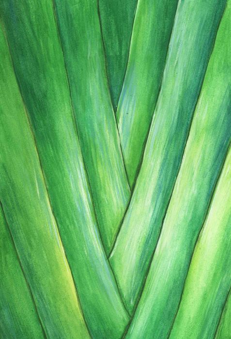 Melissa宛宛的个人主页（背景预览） - 主页背景设置 - 站酷设计师Melissa宛宛原创素材 - 站酷ZCOOL