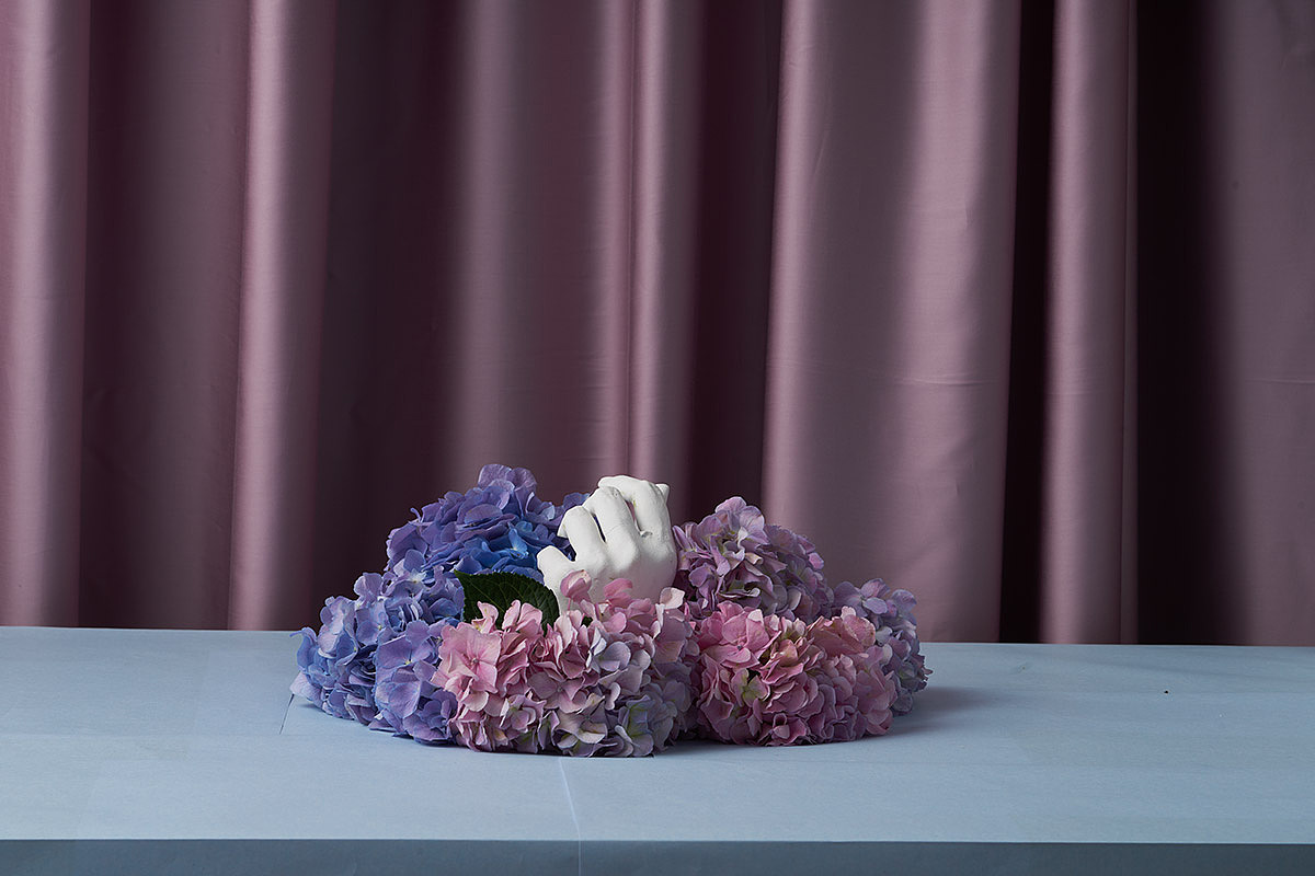 花和手（图ZMTk5MzM5MDQ0） - 产品摄影 - 站酷设计师光之原野原创素材 - 站酷ZCOOL