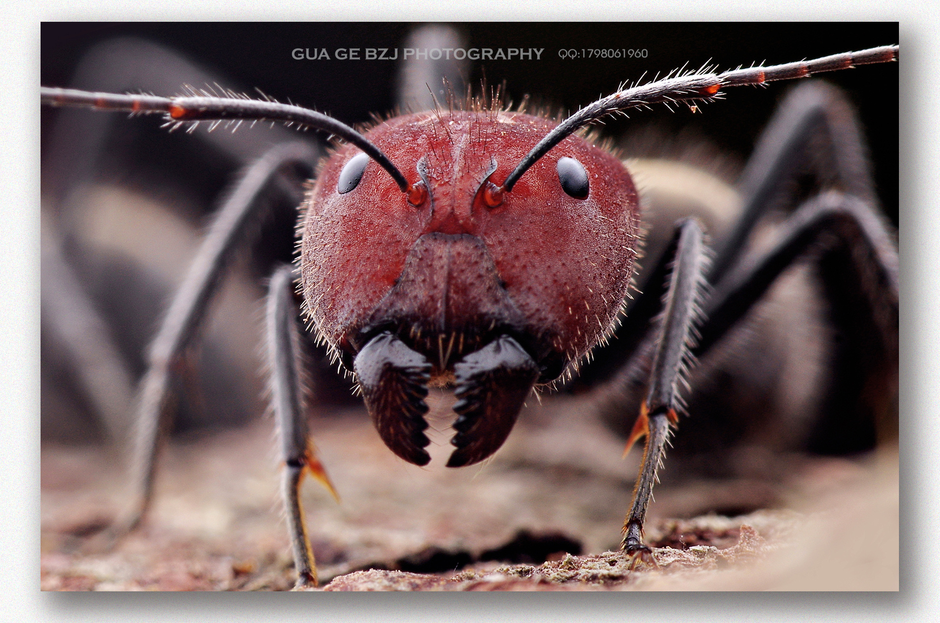 老片翻新了下,,,最近一直忙,唉