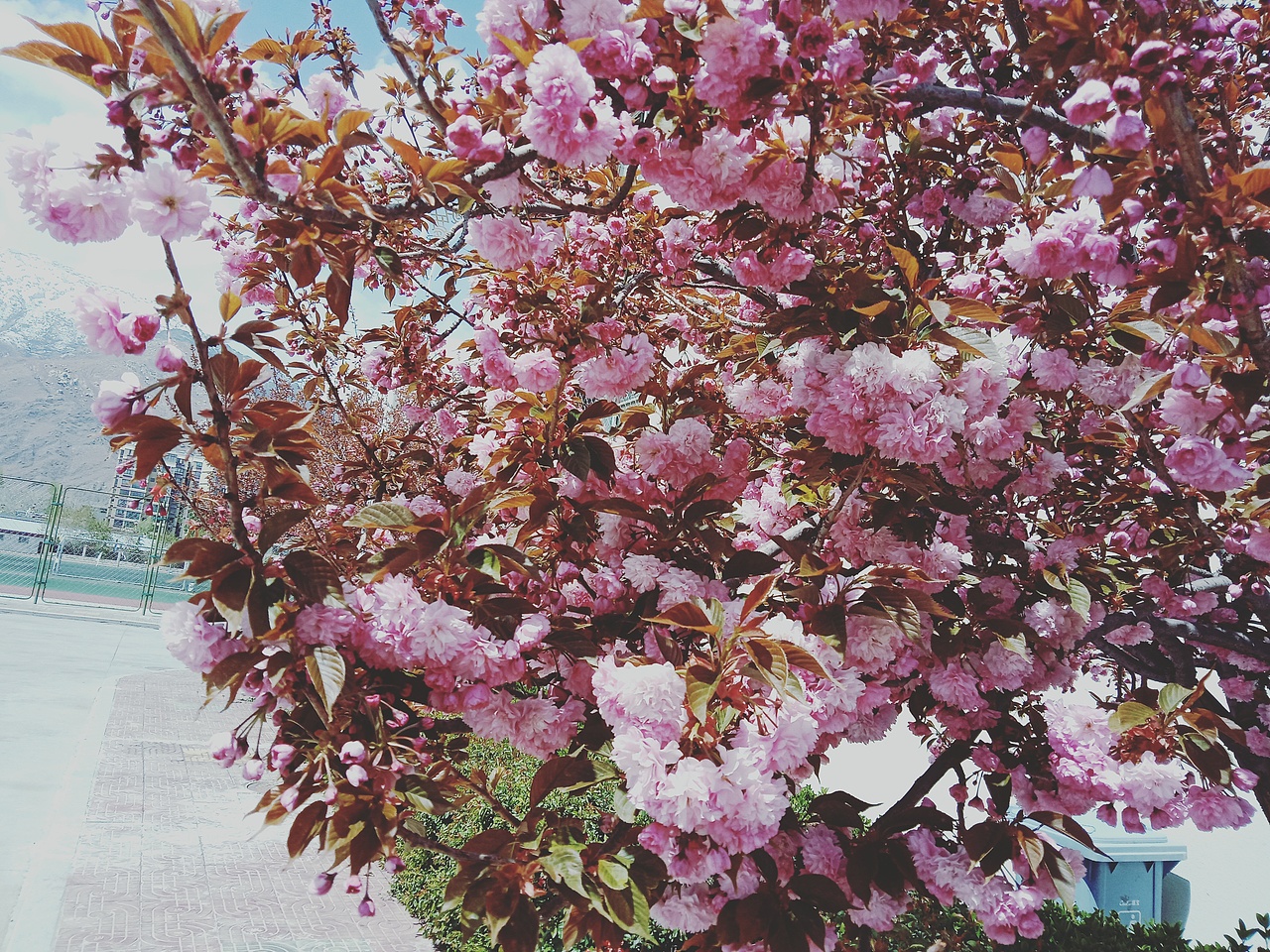 好看吗啊（图ZMTEzMzkxNDI4） - 产品摄影 - 站酷设计师ASD落原创素材 - 站酷ZCOOL